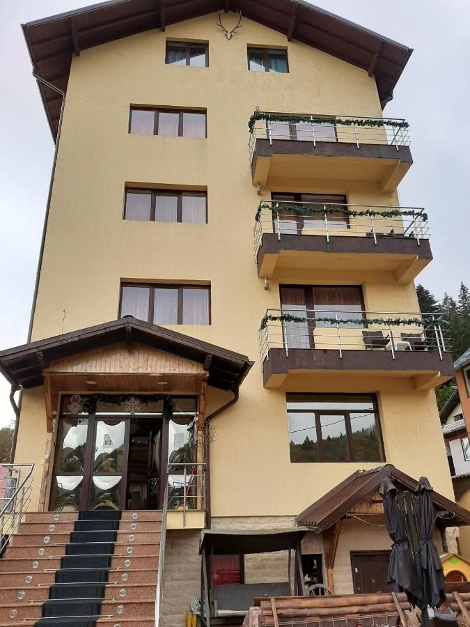 Hotel Vila Dolly Buşteni Zewnętrze zdjęcie