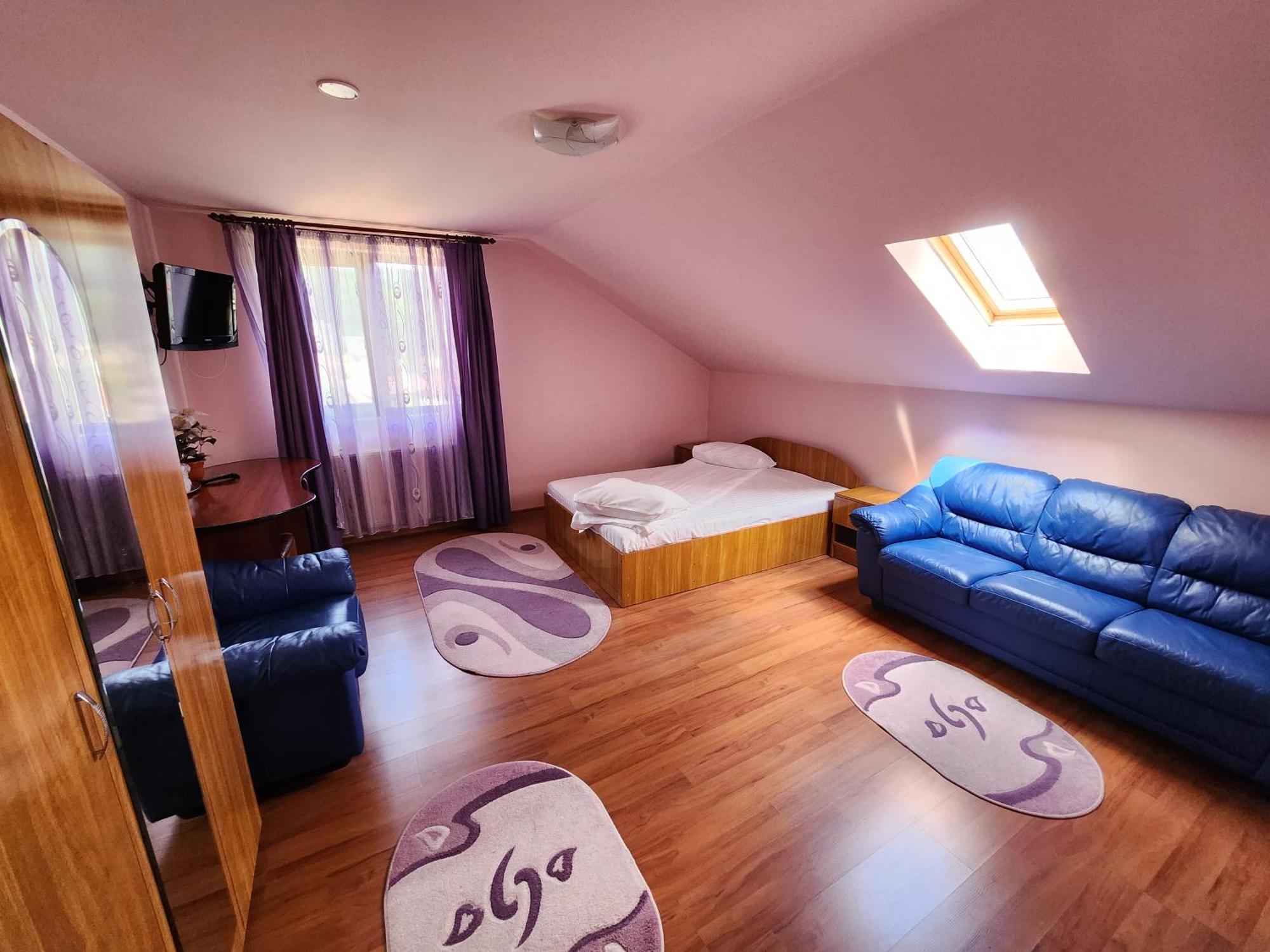 Hotel Vila Dolly Buşteni Zewnętrze zdjęcie