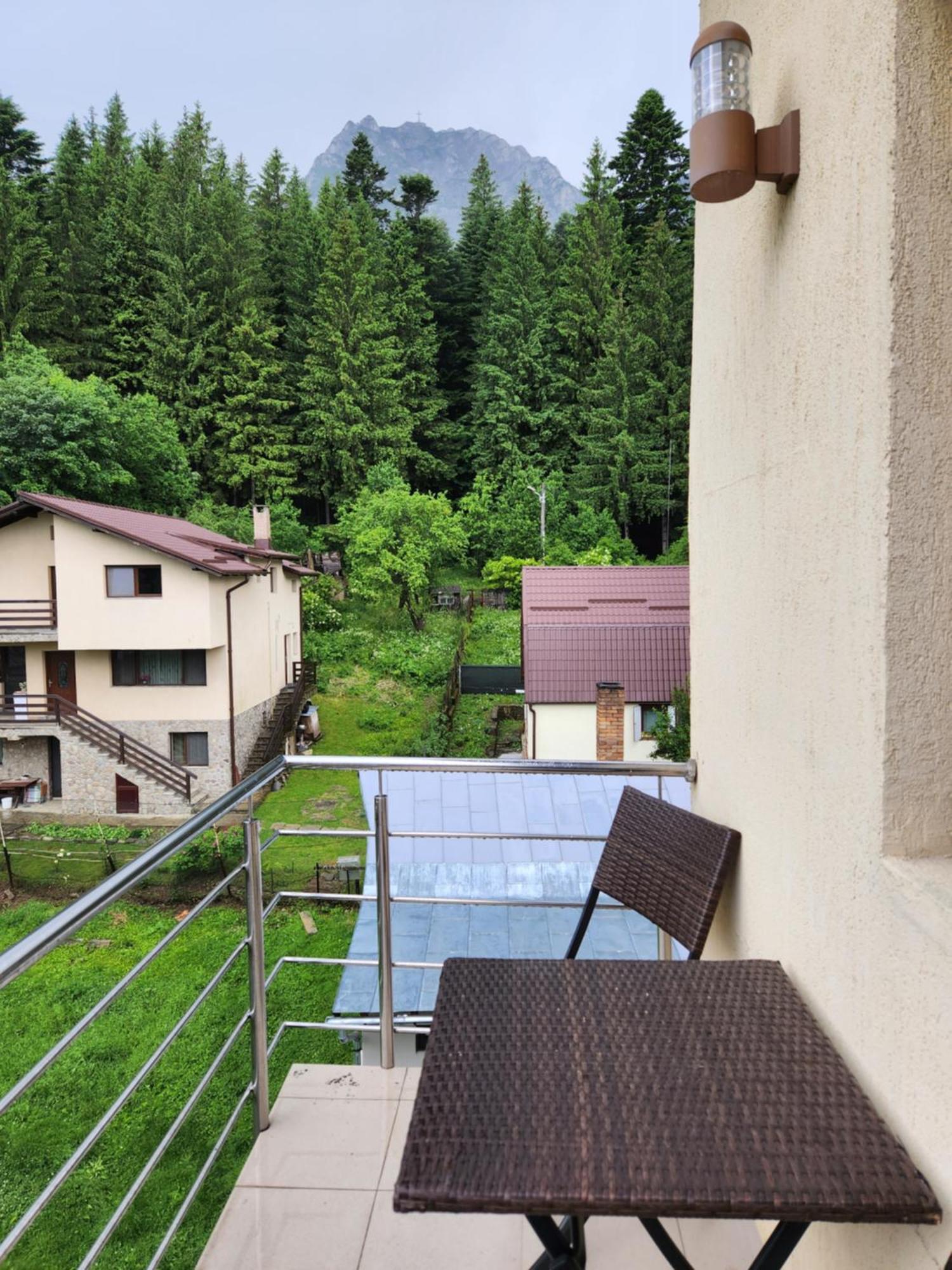 Hotel Vila Dolly Buşteni Zewnętrze zdjęcie